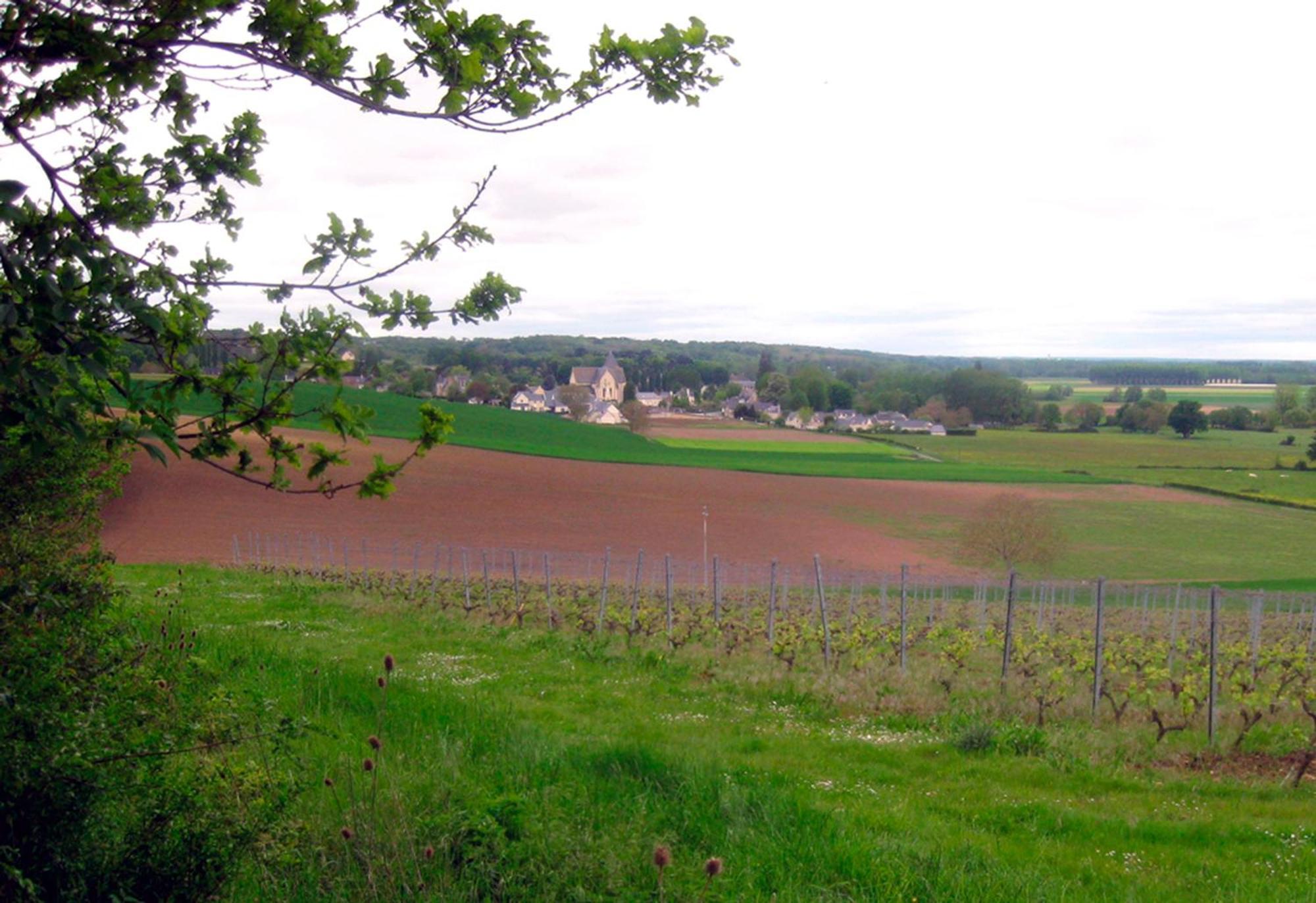 ブレゾン La Butte De Gohier Bed & Breakfast エクステリア 写真